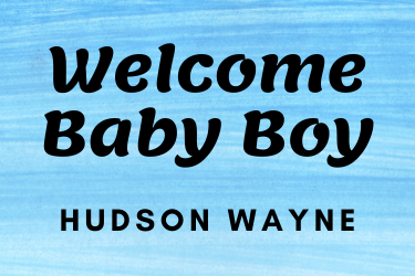 Hudson Wayne
